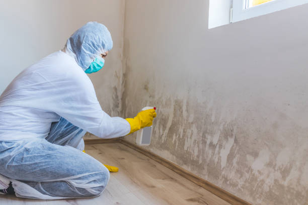 Licensed Mold Testing service in Riverview, MI - WQB Mold Removal