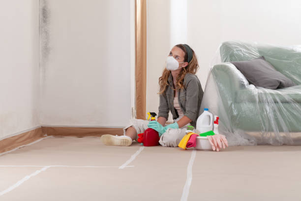 Reliable Mold Testing contractor in Riverview, MI by WQB Mold Removal