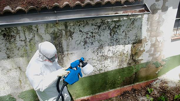Top rated local Mold Testing specialists in Riverview, MI